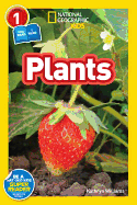 NGR 1 - Plants