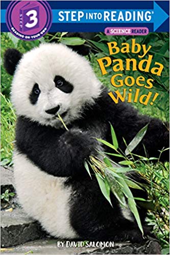 Step 3 - Baby Panda Goes Wild!
