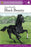 Penguin Young Readers 4 - Anna Sewell's Black Beauty
