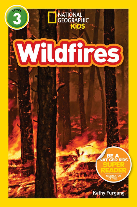 NGR 3 - Wildfires