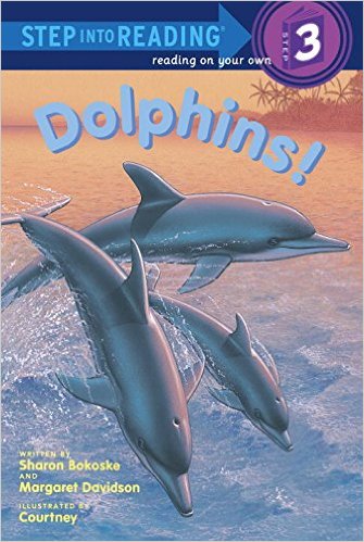 STEP 3 - Dolphins
