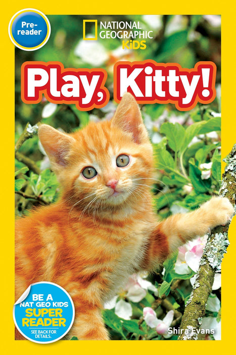 NGR Pre1 - Play, Kitty!