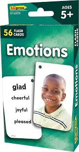 TCR - Emotions Flash Cards