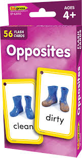TCR - Opposites Flash Cards