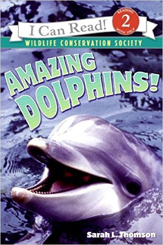 ICR 2 - Amazing Dolphins!