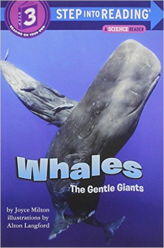 STEP 3 - Whales, the Gentle Giants