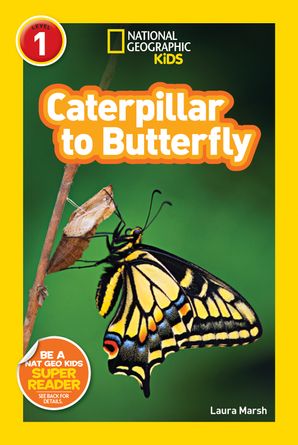 NGR 1 - Caterpillar to Butterfly