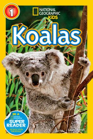 NGR 1 - Koalas